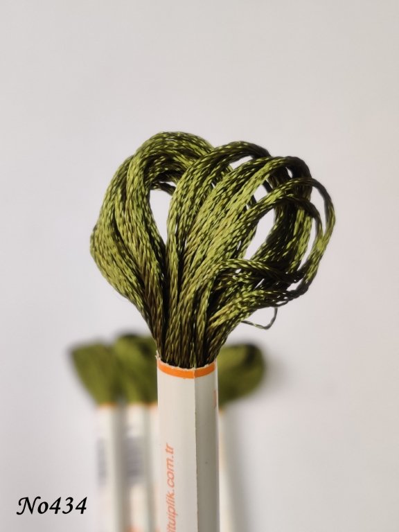 434 (DMC469) (1) (Medium)